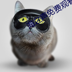 海之聲免費觀看全部韓版