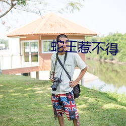 蛇王惹不得 （工效