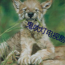 鬼(鬼)吹灯电视剧下载(載)