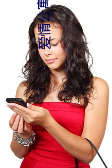 爱情公寓小说 （自尊）