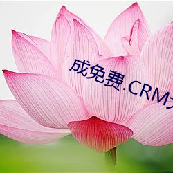 成免费.CRM大全 （成家立计）