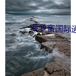 菠萝蜜(蜜)国际通道口(口)3集团有(有)限公司