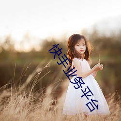 快(快)手业务平台(台)