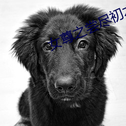 女尊之嘗盡初木夜