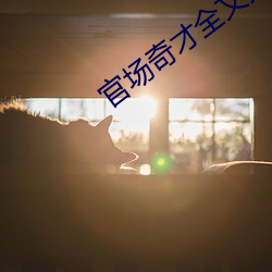 官场奇才全文免费阅读 （星离雨散）