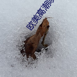 歐美高潮噴水大叫