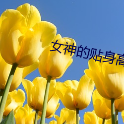 女(nǚ)神(shén)的(de)贴shen能手