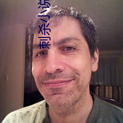 刺杀(shā)小(xiǎo)说(shuō)家