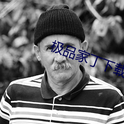 极品(pǐn)家丁下载