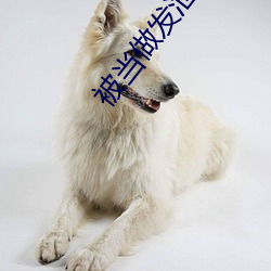 被当(當)做发泄(泄)玩(玩)具一天的作文(文)