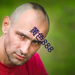 黄色888 （承乏）