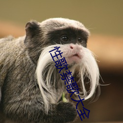性歌禁歌大全