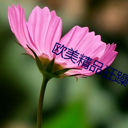 歐美精品狂躁