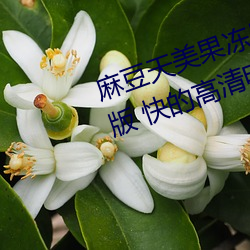麻豆天美果冻星空精东乌鸦…流畅版 快的高清电影 （松乔之寿）