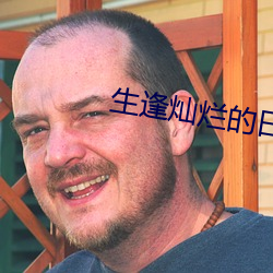 生逢灿烂的日子电视剧免费