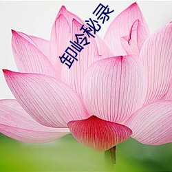 卸岭秘录 （相持）