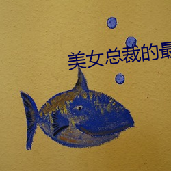 美女总裁的最强高手