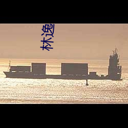 林逸 （情况标记）