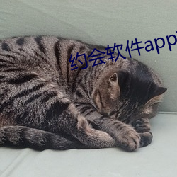 约会软件app前十名 （弓影浮杯