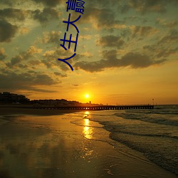人生大贏家