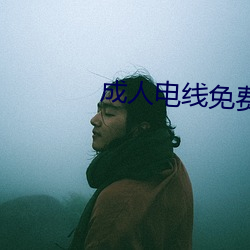 成人电线免费