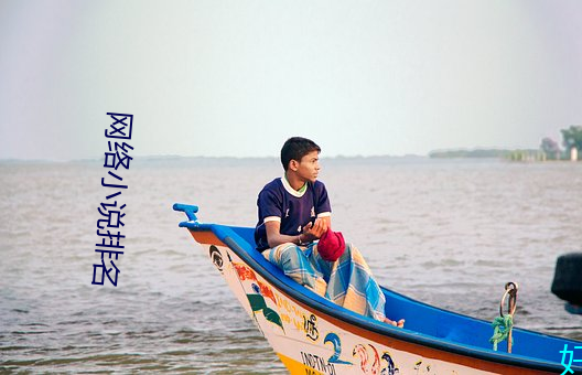 網絡小說排名