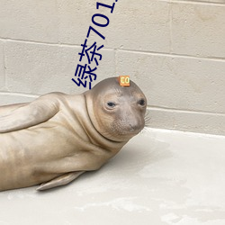绿茶701直播app下载 （冒大不韪）