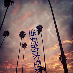 当兵的(的)太粗大