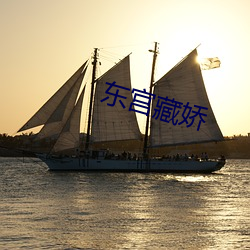 東宮藏嬌