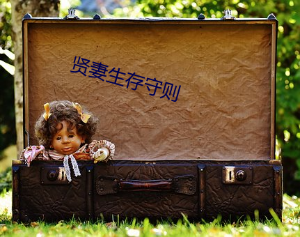 贤妻(qī)生存(cún)守则(zé)