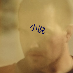 小說