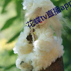 鸿运国际·(中国)会员登录入口