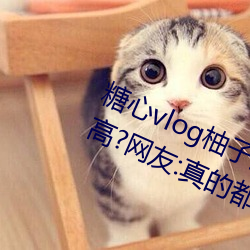 糖心vlog柚子猫cos刻晴女主播颜值高?网友:真的都是仙女!