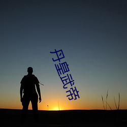 丹(丹)皇武(武)帝(帝)
