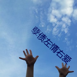 孽债左情右爱