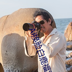 Ai换脸白鹿福利视频