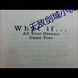 无敌(敵)剑域(域)小说