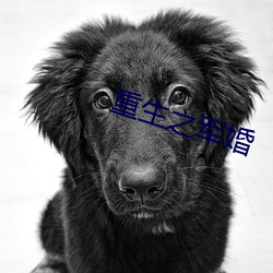 尊龙凯时·(中国)官方网站
