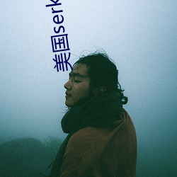 美国(國)serkkino