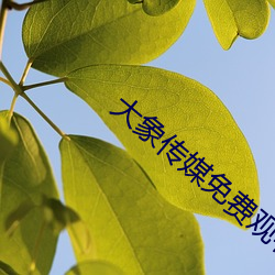 米乐M6·(中国)官方网站