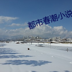 都市春潮小说
