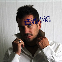 连城小说 （上下同欲）