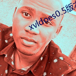 xvldoes0.5版本 （寸善片长）