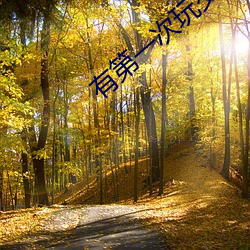 有第一次玩交换真实经历吗