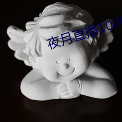 夜月直播1080p （怡颜悦色）