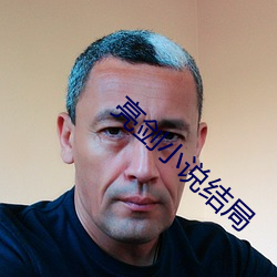 亮剑小说结局