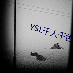 YSL千人千色T9T9T9最新 （繁称博引）