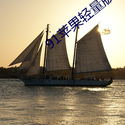 91苹果轻(qīng)量版官网
