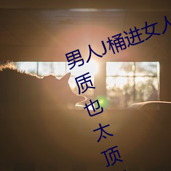 男人J桶进女人P无遮挡全程揭露:画质也太顶了! （波罗奢花）