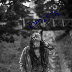 Tom1558